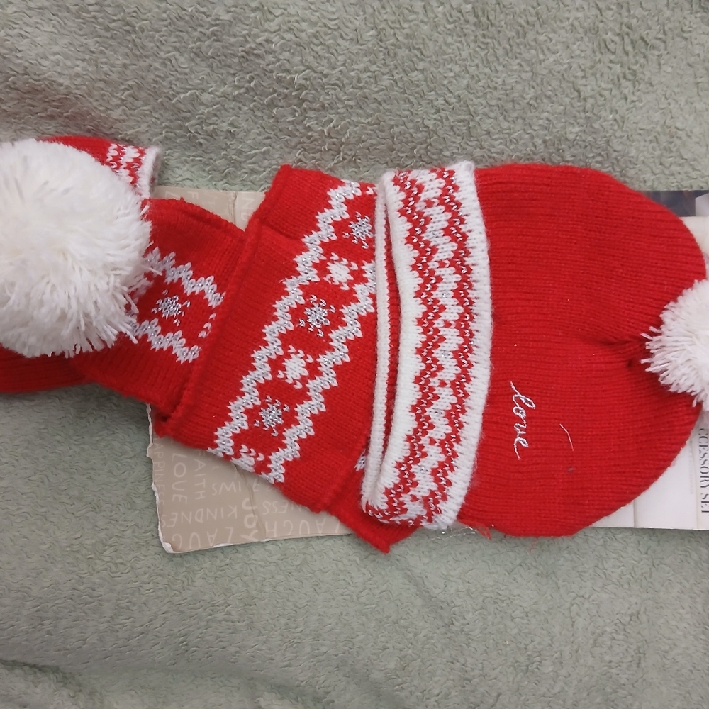 Dog winter set